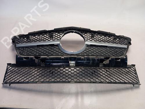 Griglia MERCEDES-BENZ SLK (R172) 250 CDI / d (172.403) (204 hp) 30597867