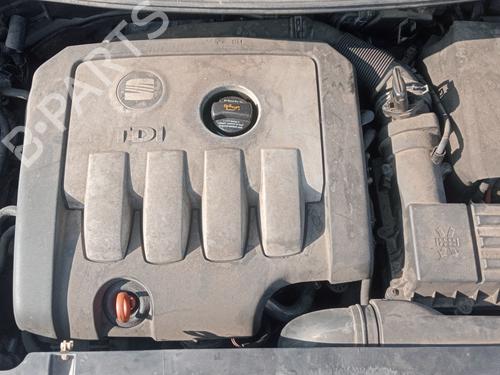 Tailgate SEAT ALTEA (5P1)  | BP31665392C6 