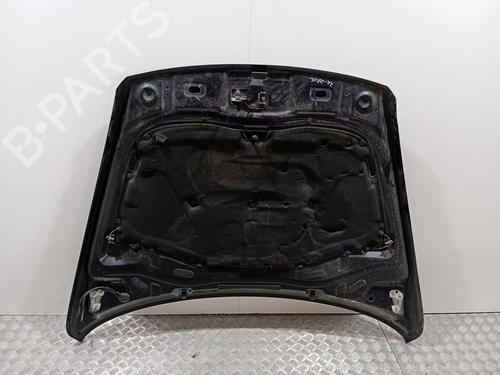 Hood VW TOUAREG (7LA, 7L6, 7L7) 5.0 V10 TDI | BP21376835C1 