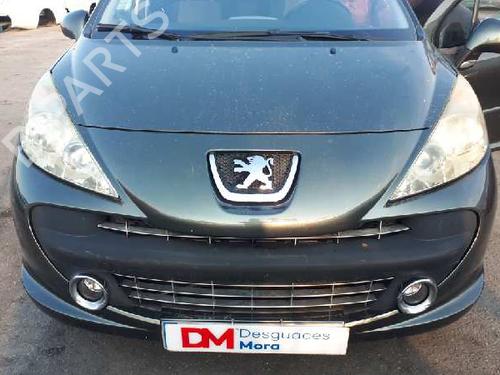 Right rear door PEUGEOT 207 (WA_, WC_)  | BP12666547C5 