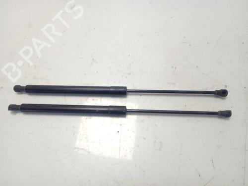 Gasdæmper bagklap CITROËN C3 II (SC_) [2009-2026]  14130293