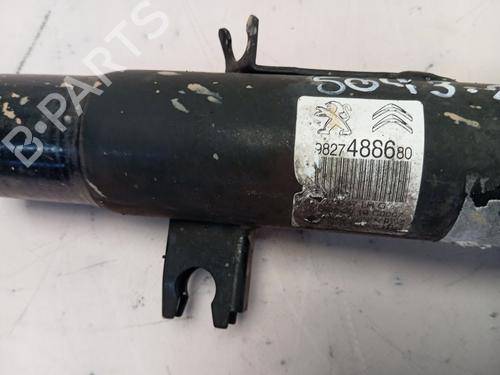 Left front shock absorber CITROËN C3 IV (CC21) | BP28591860M16