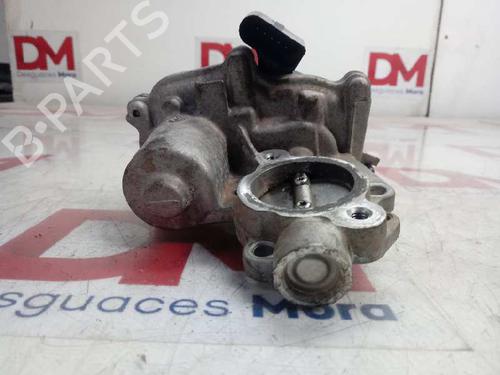 Egr VW CADDY IV Box Body/MPV (SAA, SAH) 2.0 TDI 4motion | BP12667304M69 
