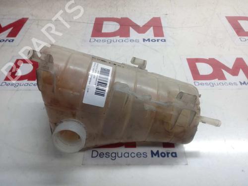 Used Expansion tank RENAULT KANGOO / GRAND KANGOO II (KW0/1_) [2008-2025]  17006544