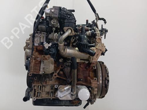Engine FORD TRANSIT V363 Bus (FAD, FBD) | BP33336973M1 - Image 10