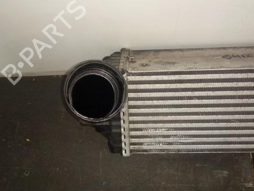 Intercooler BMW X6 (E71, E72)  | BP16032331M30 