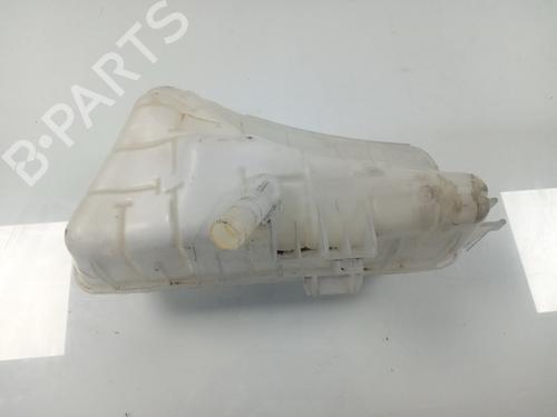 Expansion tank RENAULT KANGOO BE BOP (KW0/1_) 1.5 dCi 75 | BP17946852C120 