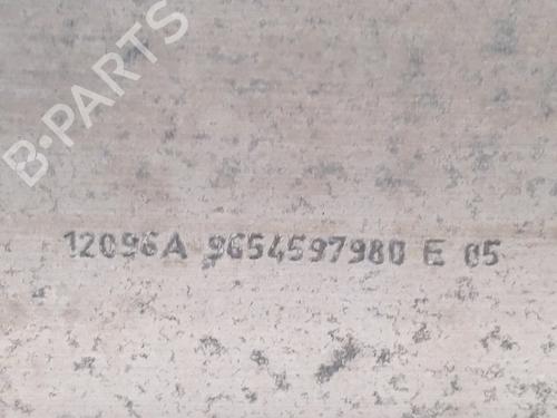 Front bumper reinforcement CITROËN C4 Picasso I MPV (UD_) 1.6 HDi 110 | BP26008884C109 