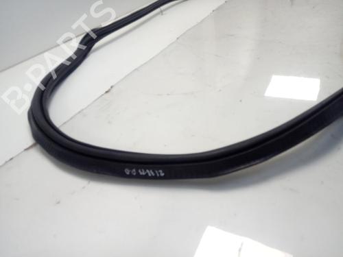 Rubber door seal AUDI Q3 (8UB, 8UG)  | BP14133881C142 