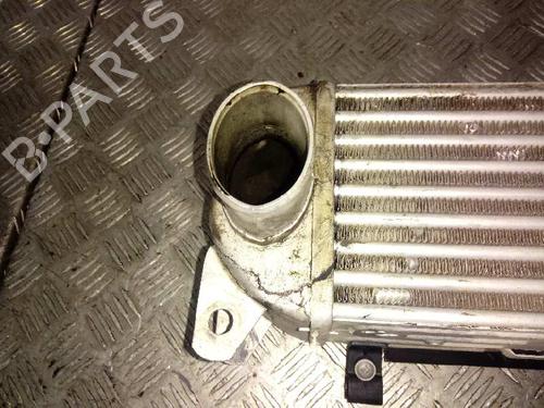 Intercooler LAND ROVER DISCOVERY III (L319) 2.7 TD 4x4 | BP12662516M30 