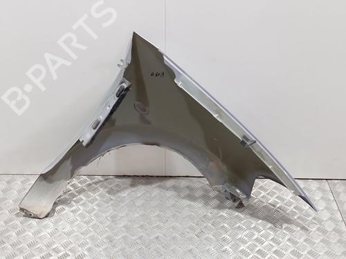 Left front fenders CITROËN C3 I (FC_, FN_) 1.6 16V | BP21807188C41 