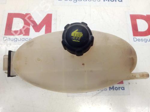 Expansion tank OPEL VIVARO A Bus (X83) 2.0 CDTI (F7, J7, A07) | BP29409861C120 