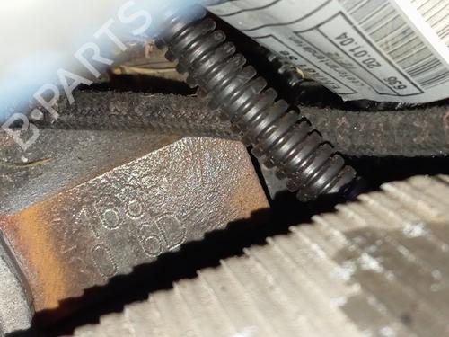 Engine BMW X5 (E53)  | BP20597416M1 