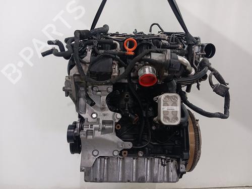 Engine VW TOURAN (1T1, 1T2) 1.9 TDI | BP29001364M1 
