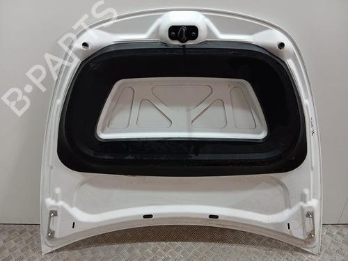 Hood TESLA MODEL Y (5YJY)  | BP29723917C1 