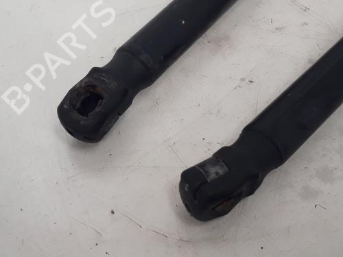 Tailgate lift support VW POLO (9N_, 9A_)  | BP14130320C138 