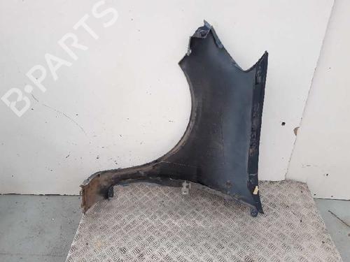 Right front fenders RENAULT CLIO III (BR0/1, CR0/1) 1.5 dCi (BR17, CR17) | BP12839460C42 