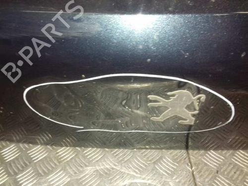 Tailgate PEUGEOT 3008 I MPV (0U_)  | BP12638768C6 
