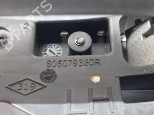 Front left exterior door handle RENAULT CLIO V (B7_) | BP31194801C128