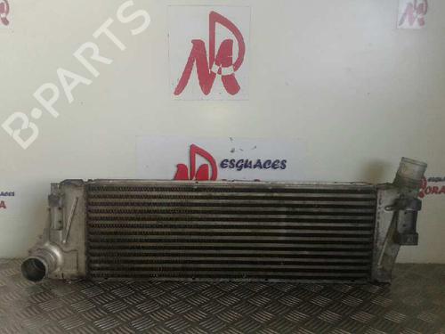 Used Intercooler RENAULT MEGANE II Estate (KM0/1_) [2003-2012]  12646458