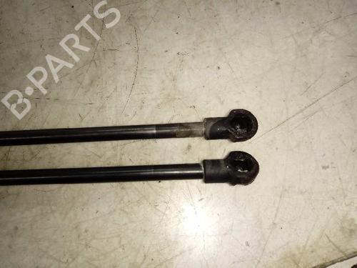 Tailgate lift support BMW 1 (F20)  | BP16647000C138