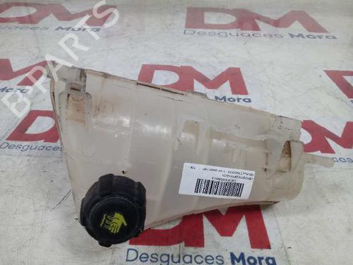 Expansion tank RENAULT KANGOO BE BOP (KW0/1_) 1.5 dCi 75 | BP17109366C120 