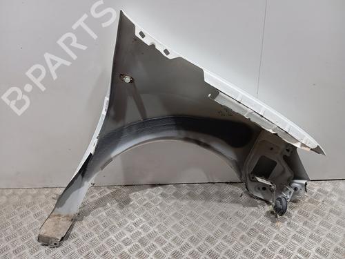 Left front fenders DACIA SANDERO  | BP28950679C41 