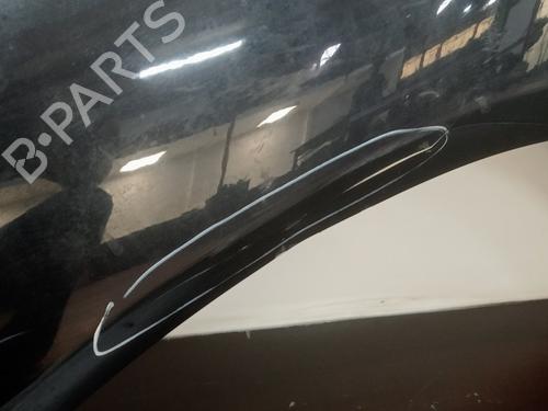 Left front fenders VW TOUAREG (7LA, 7L6, 7L7)  | BP16519489C41 