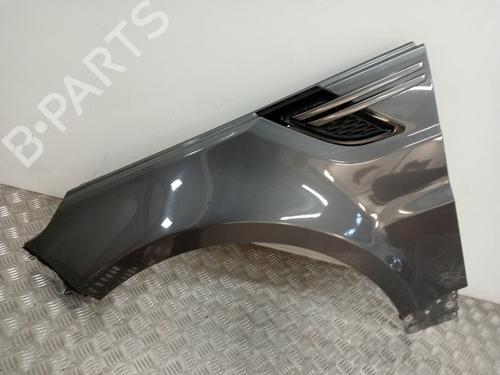 Left front fenders LAND ROVER RANGE ROVER SPORT I (L320)  | BP16322470C41 