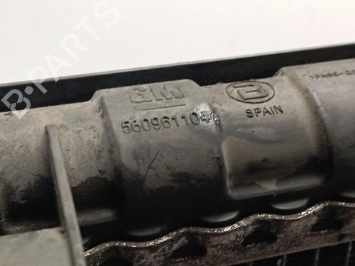 Køler OPEL MERIVA B MPV (S10)  | BP29138198M31 