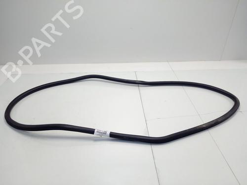 Rubber door seal JEEP COMPASS (MP, M6, MV, M7)  | BP14133665C142 