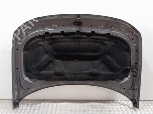 Hood LAND ROVER DISCOVERY III (L319)  | BP21604909C1 