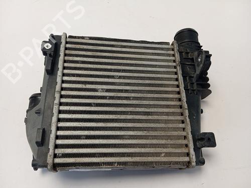 Intercooler CITROËN BERLINGO Box Body/MPV (K9)  | BP29290920M30 