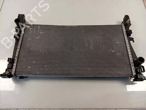 Køler FIAT QUBO (225_) 1.3 D Multijet (225AXE1A, 225CXE1A, 225AXH1A, 225AXL1A,... (95 hp) 25854641