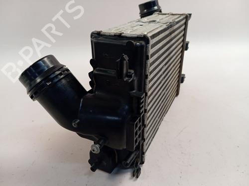 Intercooler RENAULT TALISMAN (LP_)  | BP22336152M30 