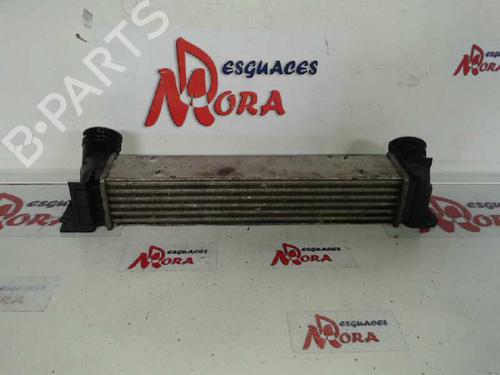 Intercooler FORD ESCORT VI (GAL, AAL, ABL)  | BP12935448M30 