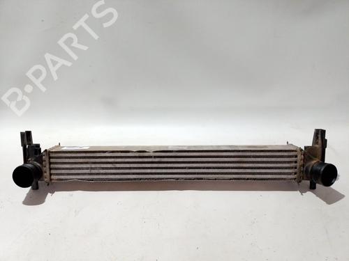 Ladeluftkühler für VW POLO V (6R1, 6C1) [2009-2022]  30624430