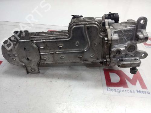 Egr AUDI A3 (8P1) 2.0 TDI 16V | BP14129062M69 