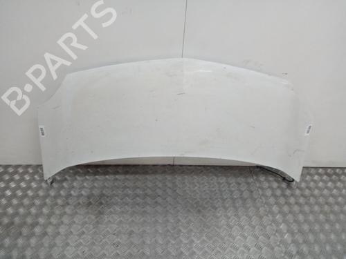 Used Hood RENAULT KANGOO / GRAND KANGOO II (KW0/1_) 1.5 dCi 85 (KW0K, KW0L, KW0B) (86 hp) 16976839