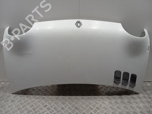 Used Hood RENAULT TWINGO I (C06_) [1993-2012]  30375741
