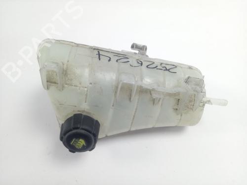Expansion tank RENAULT KANGOO BE BOP (KW0/1_) 1.5 dCi 75 | BP18829529C120 