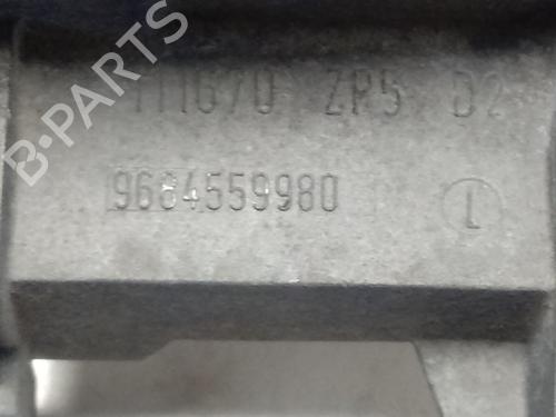 Rear right exterior door handle CITROËN C3 I (FC_, FN_)  | BP15484967C130 