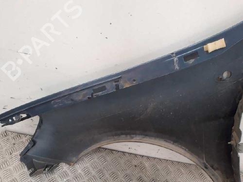 Right front fenders RENAULT CLIO III (BR0/1, CR0/1) 1.5 dCi (BR17, CR17) | BP12839460C42 