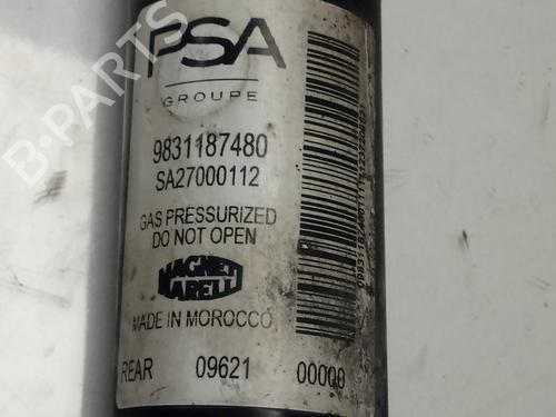 Right rear shock absorber PEUGEOT 208 II (UB_, UP_, UW_, UJ_)  | BP14969933M19 