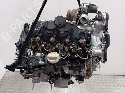 Used Engine RENAULT KANGOO III MPV [2021-2026]  31013253