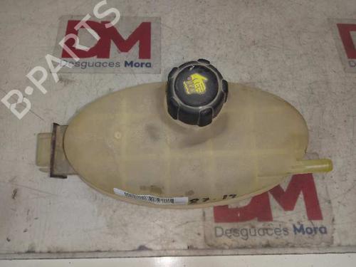 Expansion tank NISSAN PRIMASTAR Van (X83) 1.9 dCi 100 | BP16837916C120 