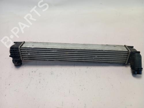 Intercooler RENAULT MEGANE III Hatchback (BZ0/1_, B3_)  | BP28728285M30 