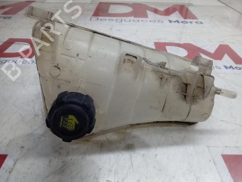 Used Expansion tank RENAULT KANGOO / GRAND KANGOO II (KW0/1_) [2008-2025]  17109367