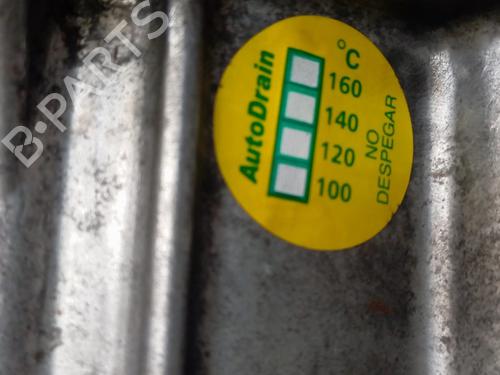 Engine NISSAN MICRA V (K14)  | BP29376619M1 