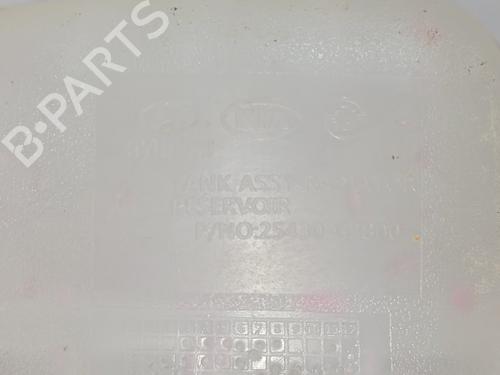 Expansion tank HYUNDAI IONIQ (AE) 1.6 GDI Hybrid | BP27473313C120 